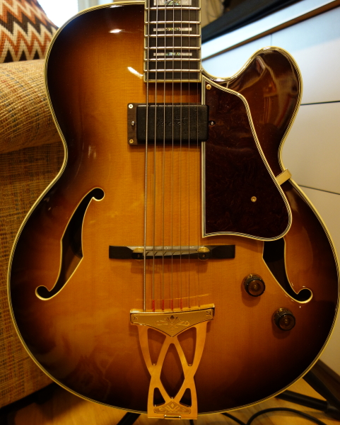 Ho Ho Hollowbody-dsc05064-jpg