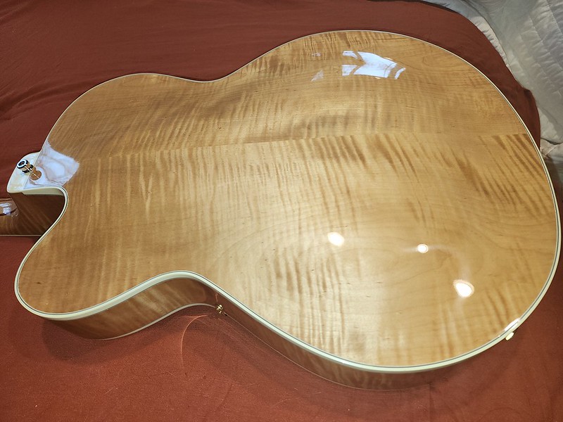 Custom Heritage Golden Eagle-52596368729_c6a75fa89f_c-jpg