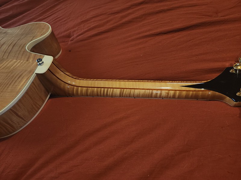 Custom Heritage Golden Eagle-52596629598_fd6b5c4b59_c-jpg