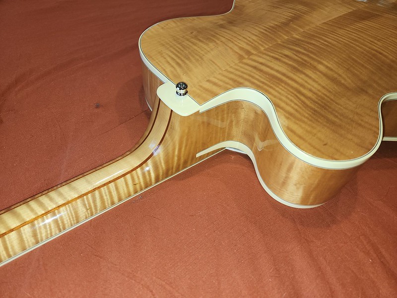 Custom Heritage Golden Eagle-52596629018_5821f81196_c-jpg
