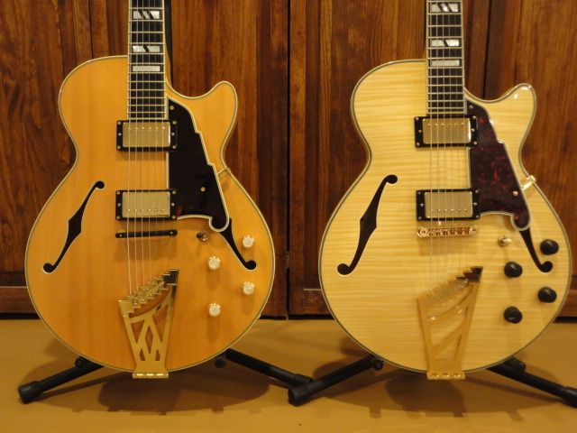 Ebony Saddles For Tele?-dsc02739-jpg