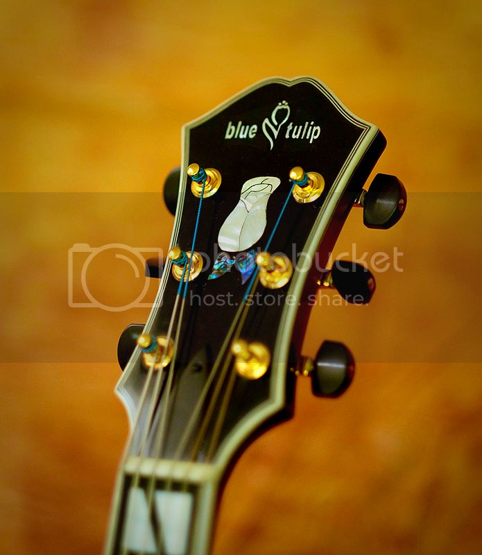 Yunzhi Guitars?-d8d73f67-8af0-4daa-aa9f-645cc9cc4908-jpeg