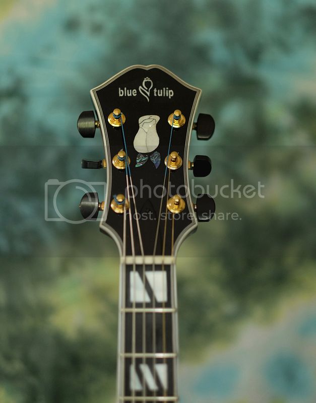 Yunzhi Guitars?-a53caca2-9c80-4fae-8946-c35b30e78d64-jpeg