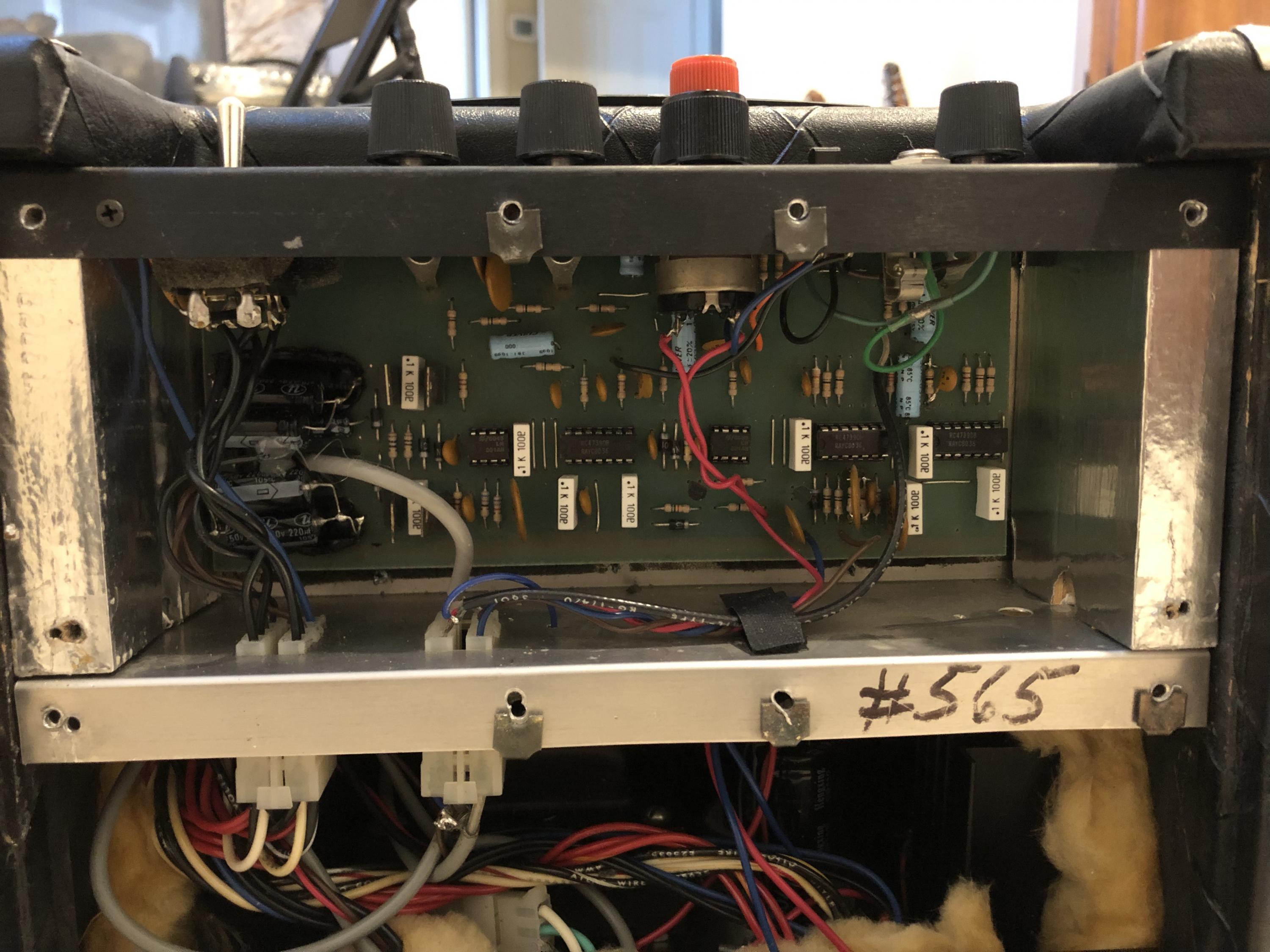 Polytone Baby Brute - Low volume hum-9aee2be9-674e-4cdf-802e-62778fde4904-jpg