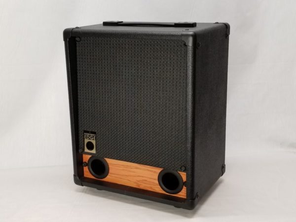 Planning to make a Bud inspired combo – what speaker? 6&quot; or 8&quot;?-stealth10er-front-e1543007315104-600x450-jpg
