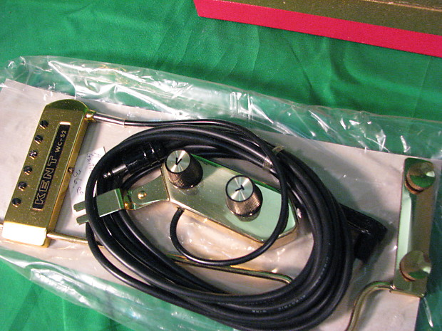 Mystery "monkey-on-a-stick" type pickup?-kent-floater-gold-jpg