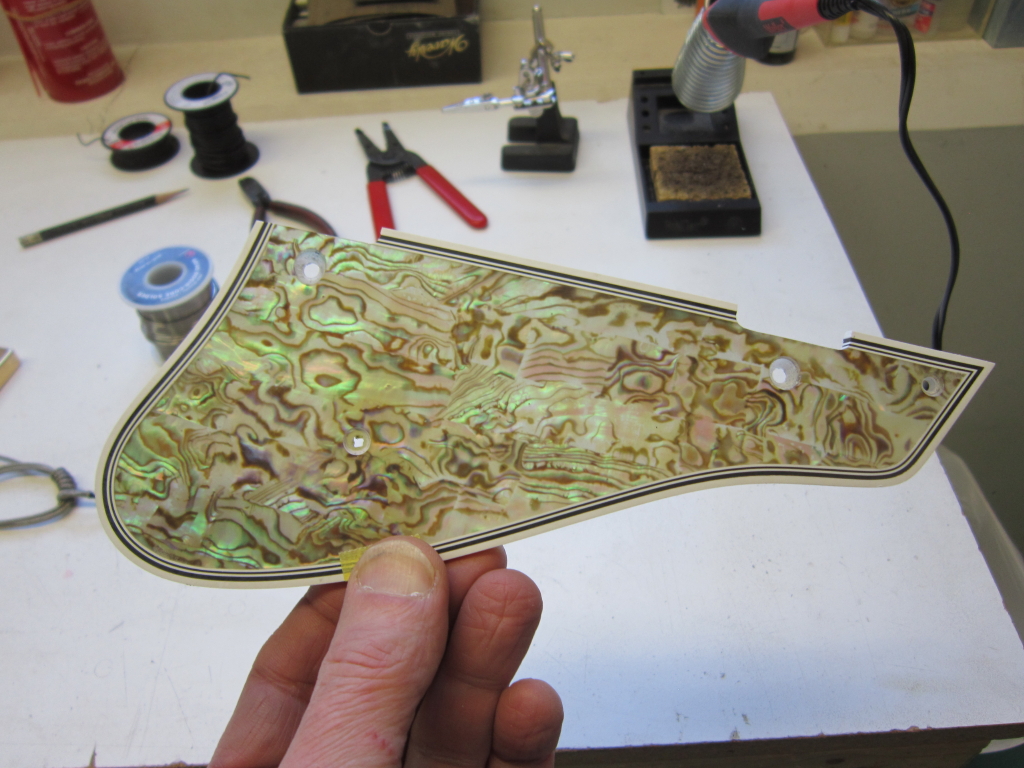 A NEW Campellone Cameo begins-6493a9e7-37f8-47c2-a7c7-227fdd27c509-jpeg