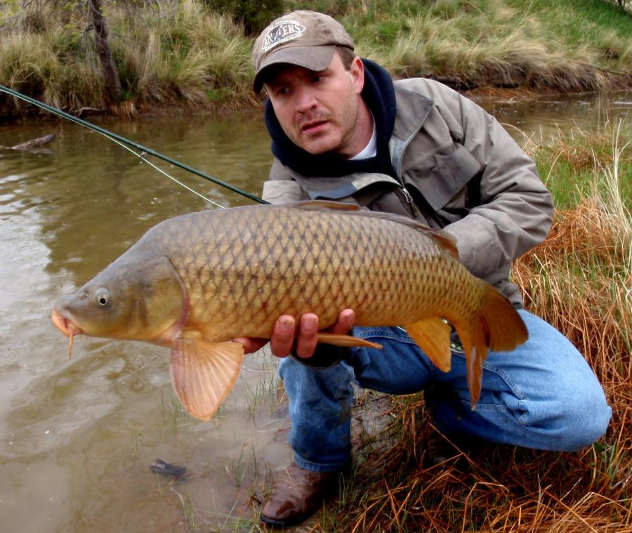 Thumb over guitar neck to play bass notes?-jay-zimmerman-fly-fishing-carp-colorado-backstabber-may-19-2011-jpg