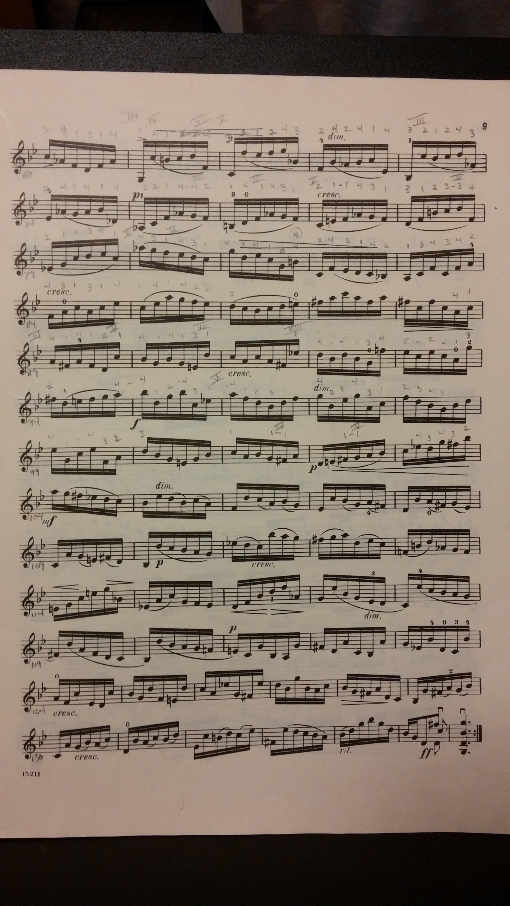 Bach Sonatas and Partitas as Plectrum Technical Studies-20140212_091715-jpg
