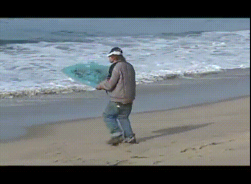 Body and Soul Analysis-gifs_that_have_life_100_percent_spot_on_03-gi-gif