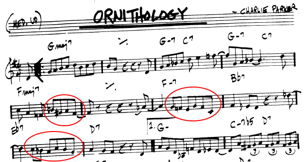 Ornithology head: E vs. Fm7?-ornithology_theme-jpg