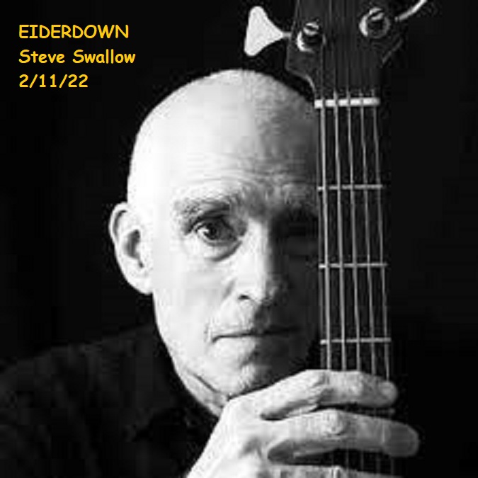 JGBE Virtual Jam (Round 57) - Eiderdown-swallow-forum-jpg