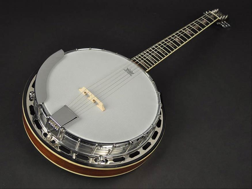 6-String Banjo?-41269-2-jpg
