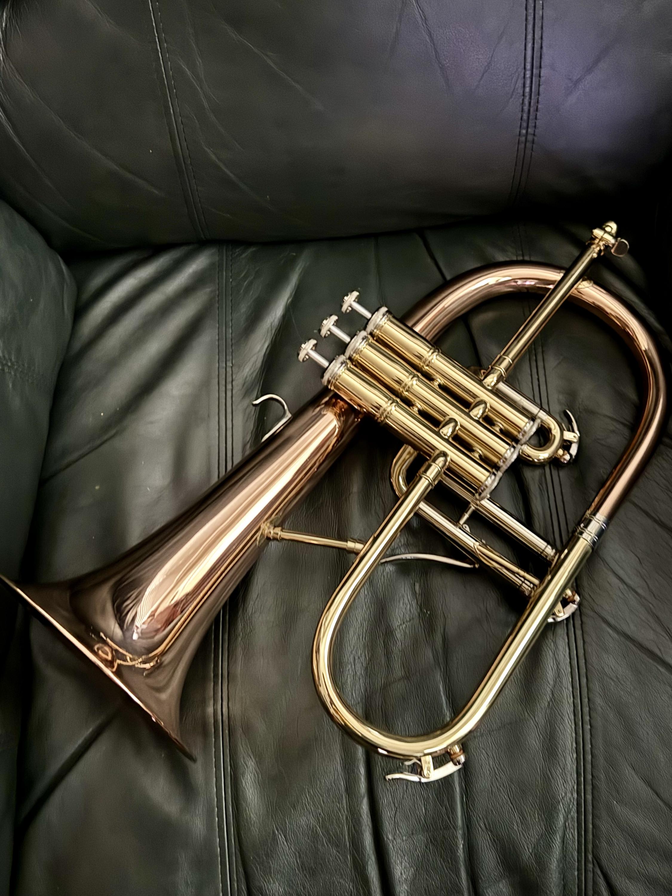 Any trumpet players here?-img_3938-jpg