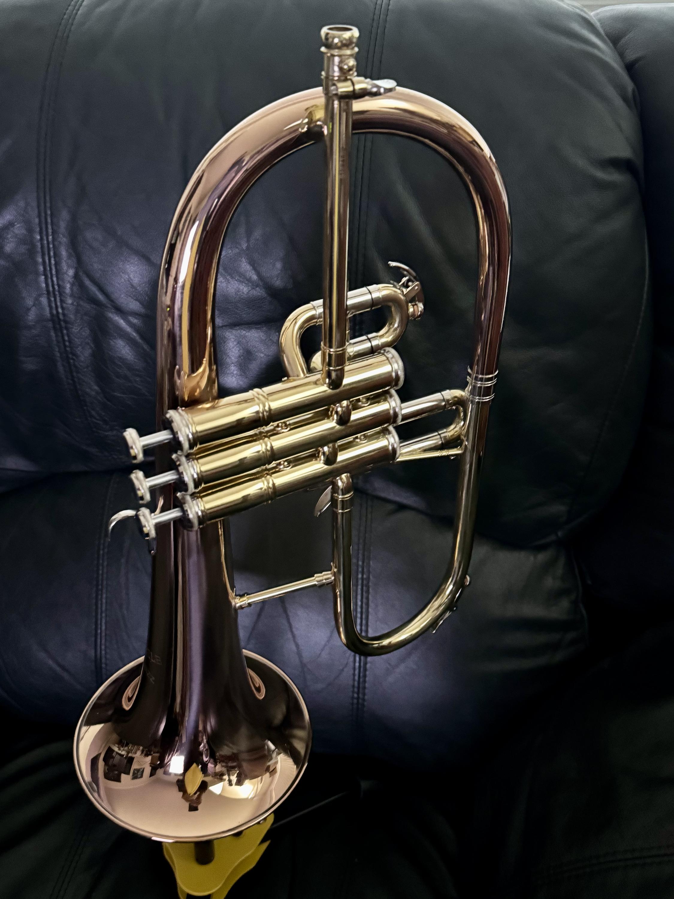 Any trumpet players here?-img_3935-jpg