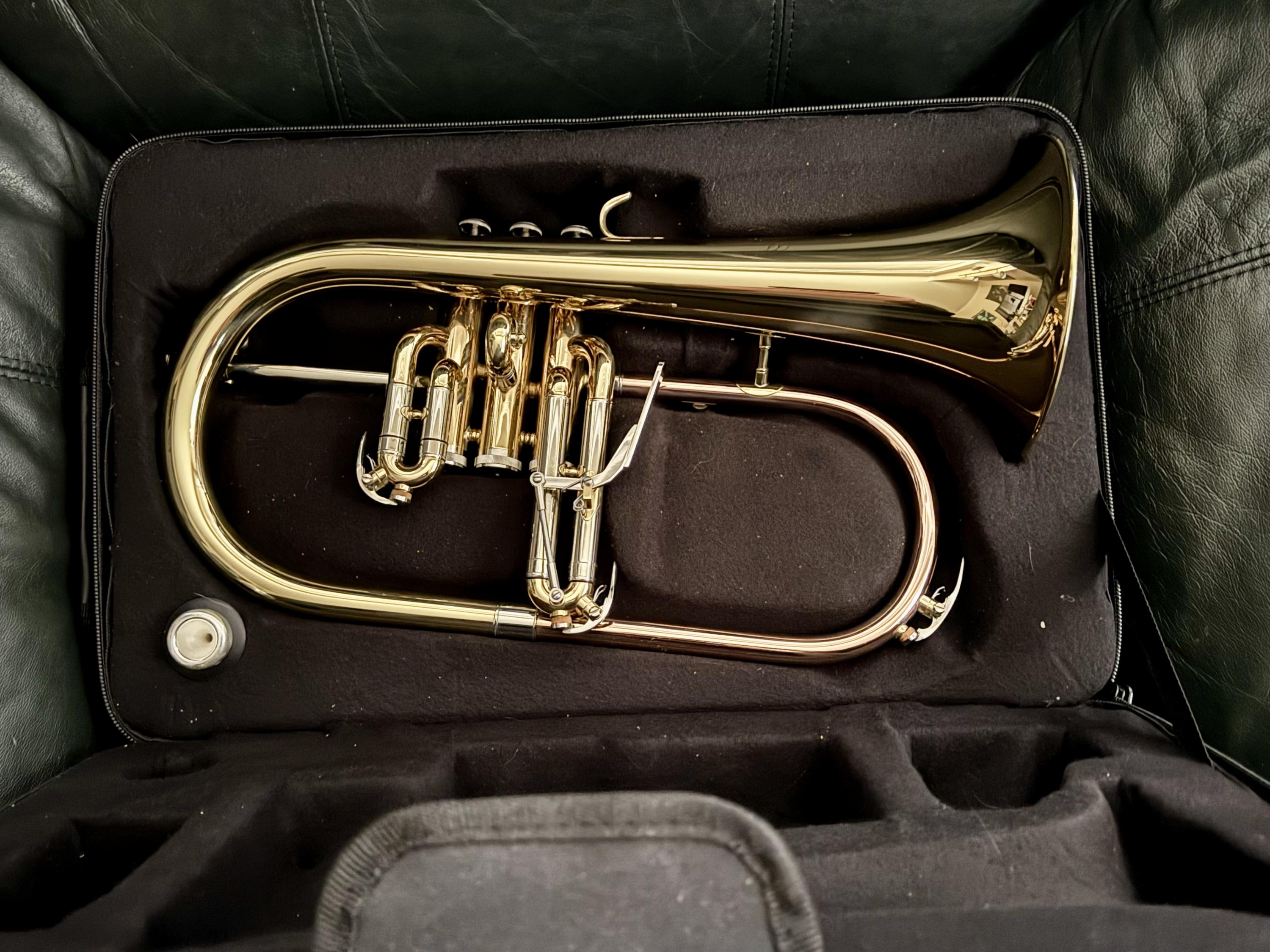 Any trumpet players here?-img_4005-jpg