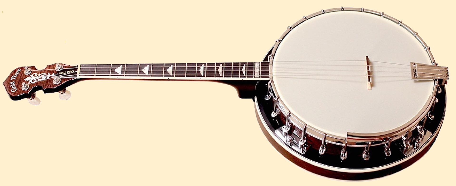 A Tale of 2 Banjos-goldtone-250r-jpg