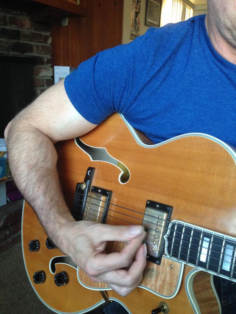Benson Picking technique on Gibson L5 Wesmo-img_1222-jpg