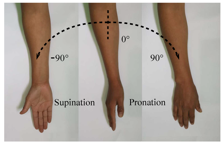 Further study of Wes's technique - Four on Six-supination-pronation-entire-rom-png