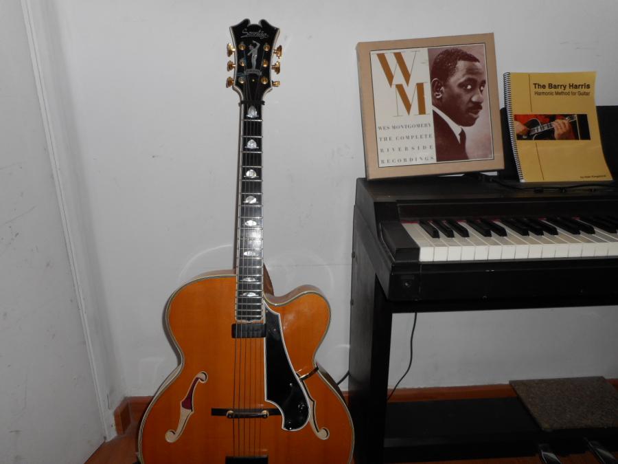 Benson Picking technique on Gibson L5 Wesmo-dscn0089-jpg