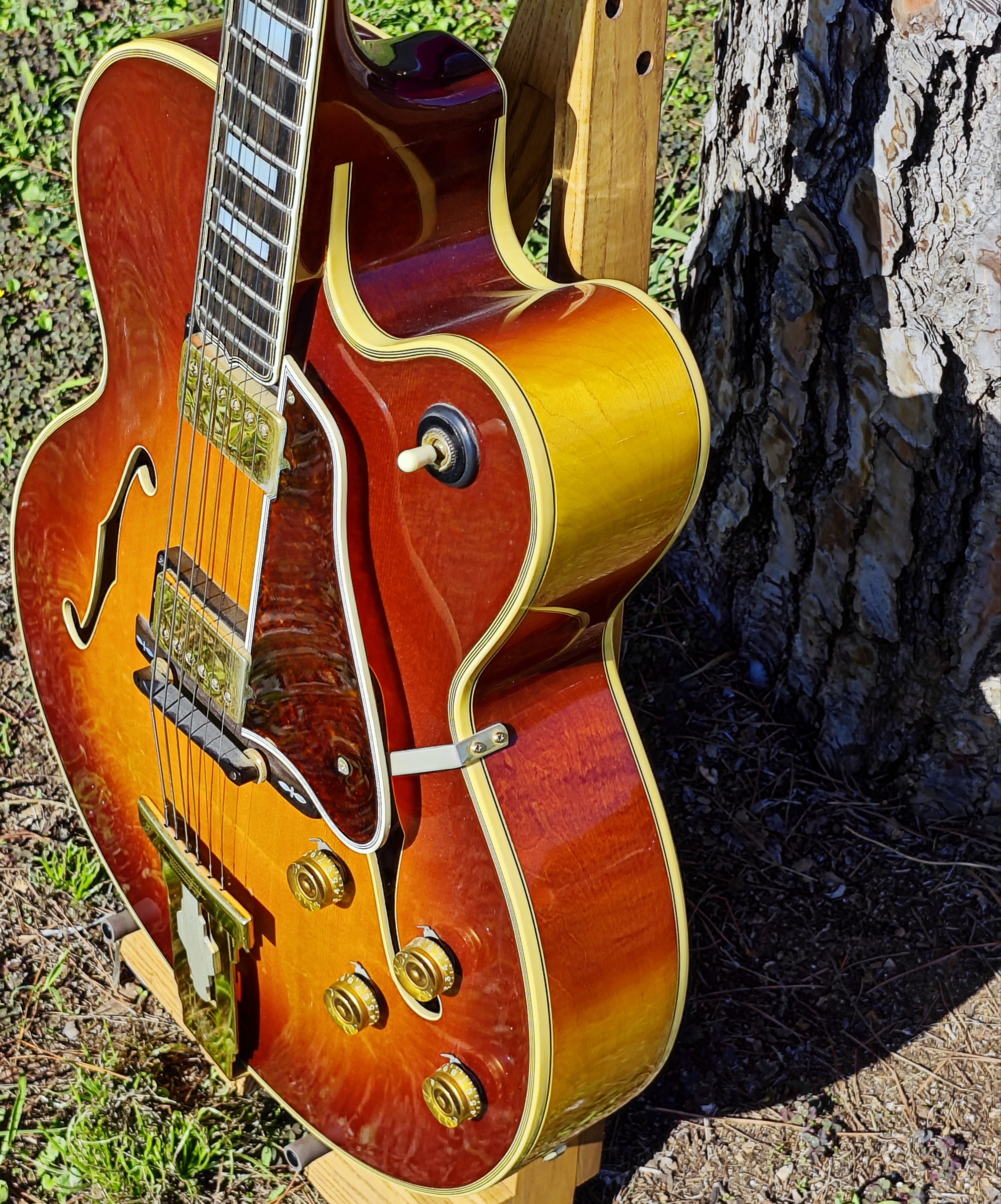 Gibson L5 CES-5-jpg