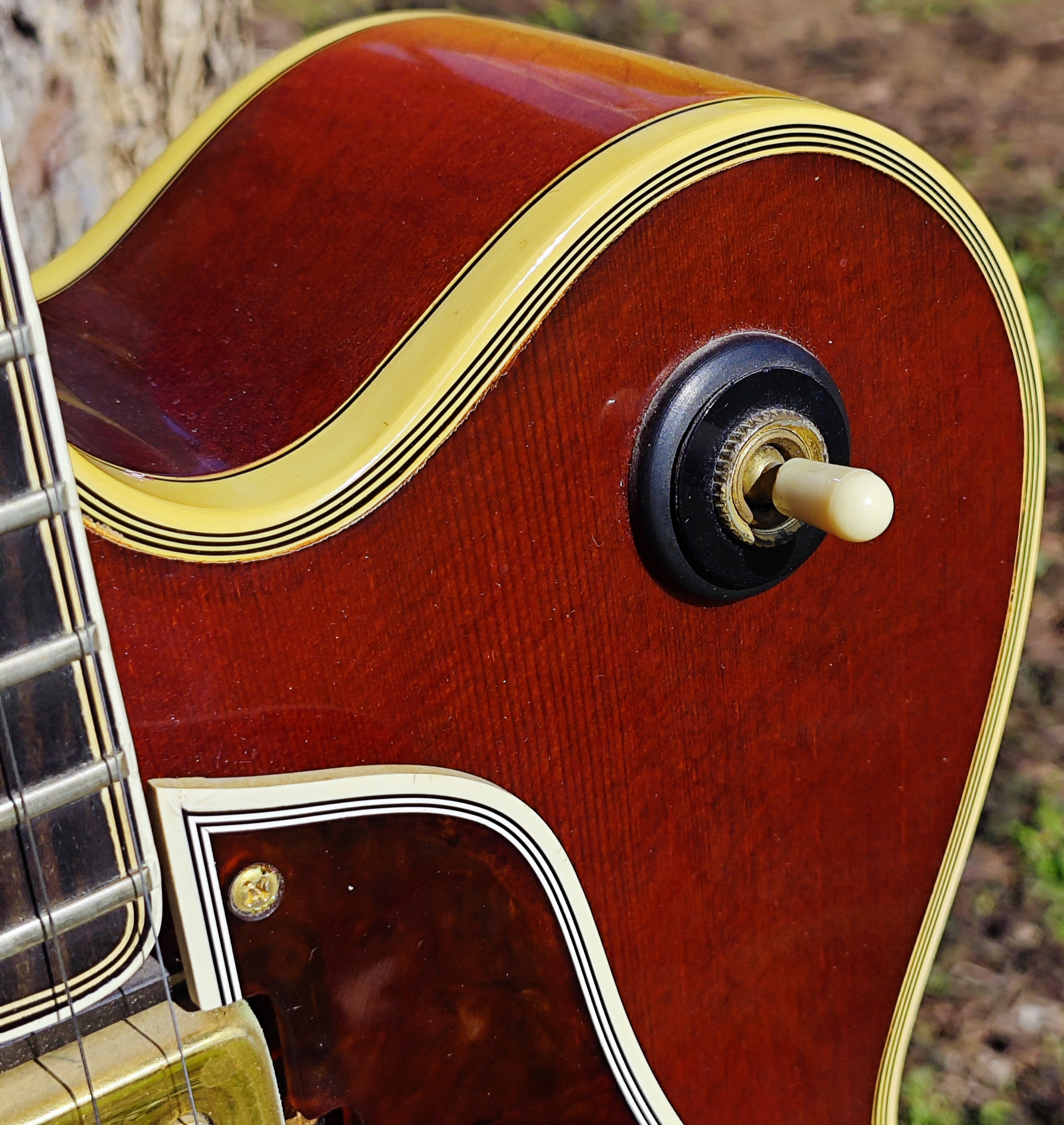 Gibson L5 CES-11-jpg