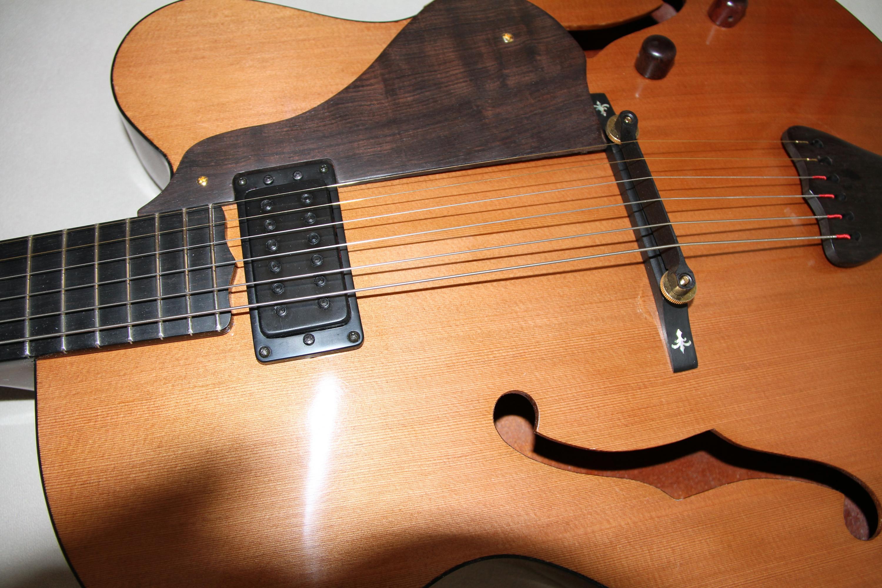 Jimmy Foster Basin Street Thinline Archtop completed by BurkeGuitar.com-h-body-close-jpg