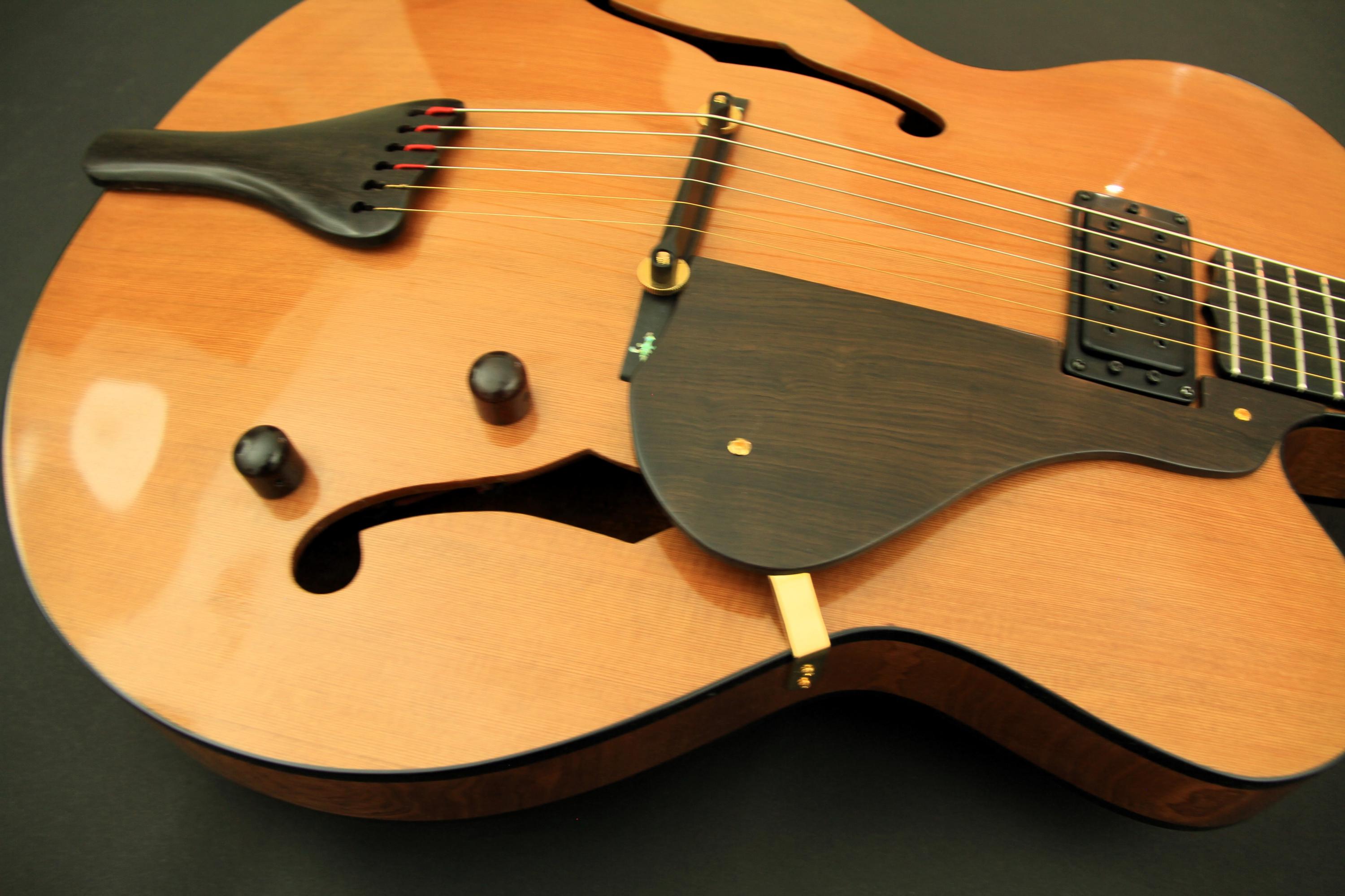 Jimmy Foster Basin Street Thinline Archtop completed by BurkeGuitar.com-img_3722a-jpg