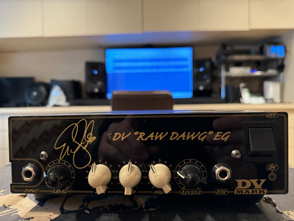 [FS] DV Mark EG250 head in excellent condition from original owner-front-jpg