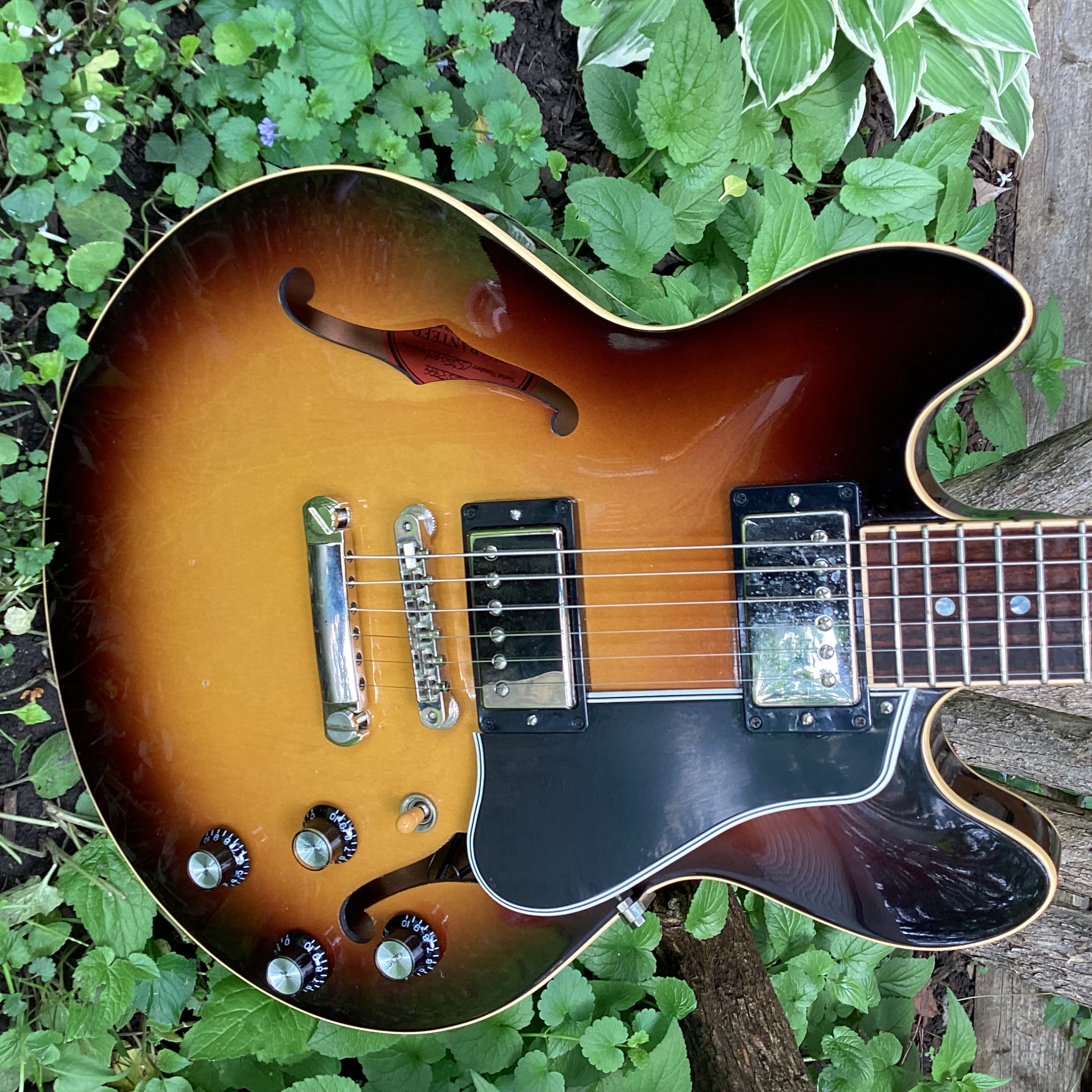 2012 Gibson CS ES-339 Sunburst-img_0136-jpeg