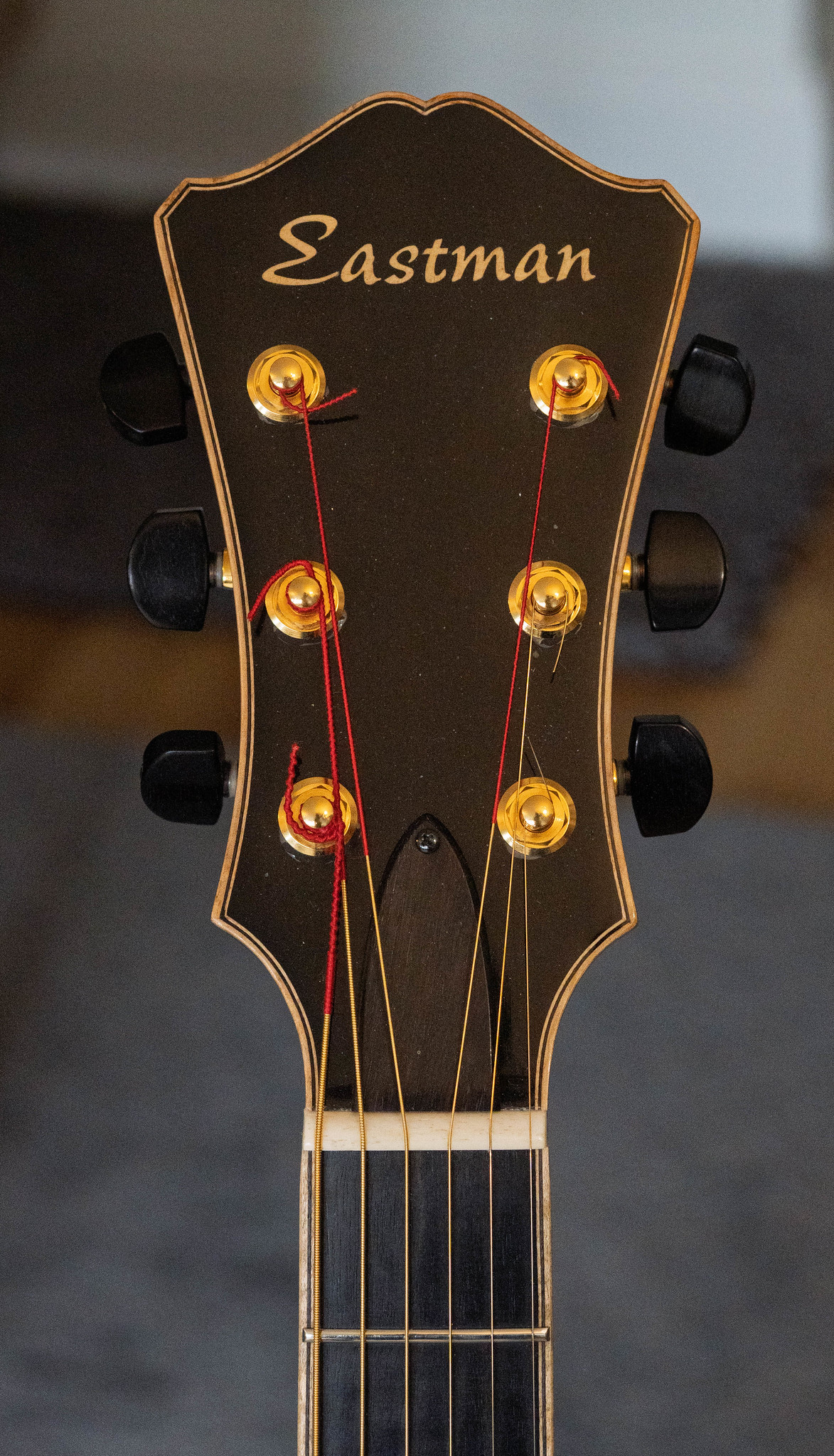 Eastman AR905 Acoustic Archtop-54704066344_8e55fcea32_k-jpg