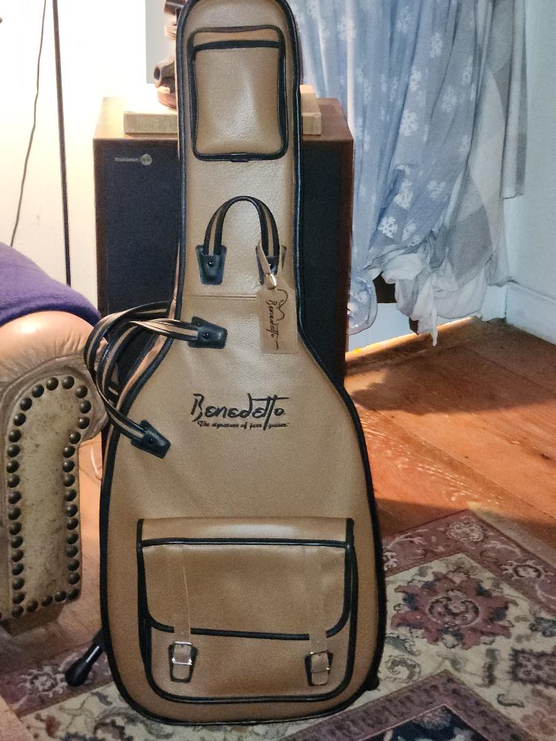 Huge Price Drop! The Goodman X-16 Hand-Carved Jazz Archtop 2014-gig-bag-1-jpg