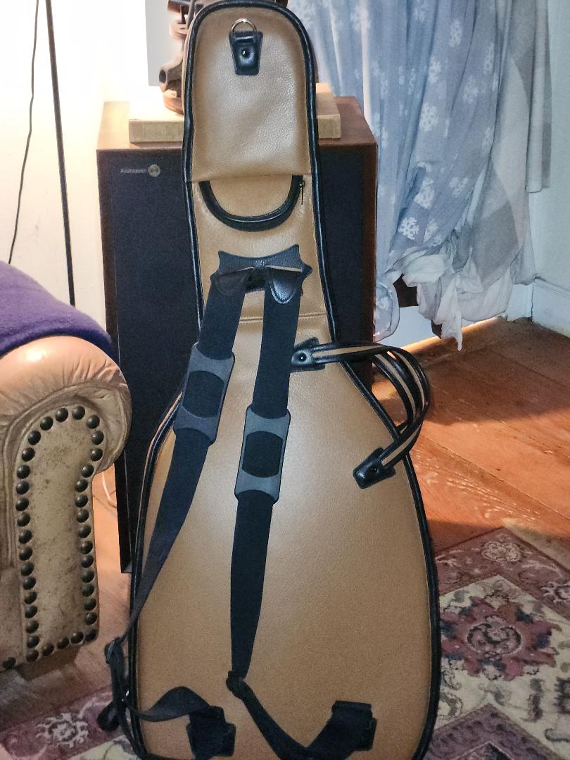 Huge Price Drop! The Goodman X-16 Hand-Carved Jazz Archtop 2014-gig-bag-2-jpg