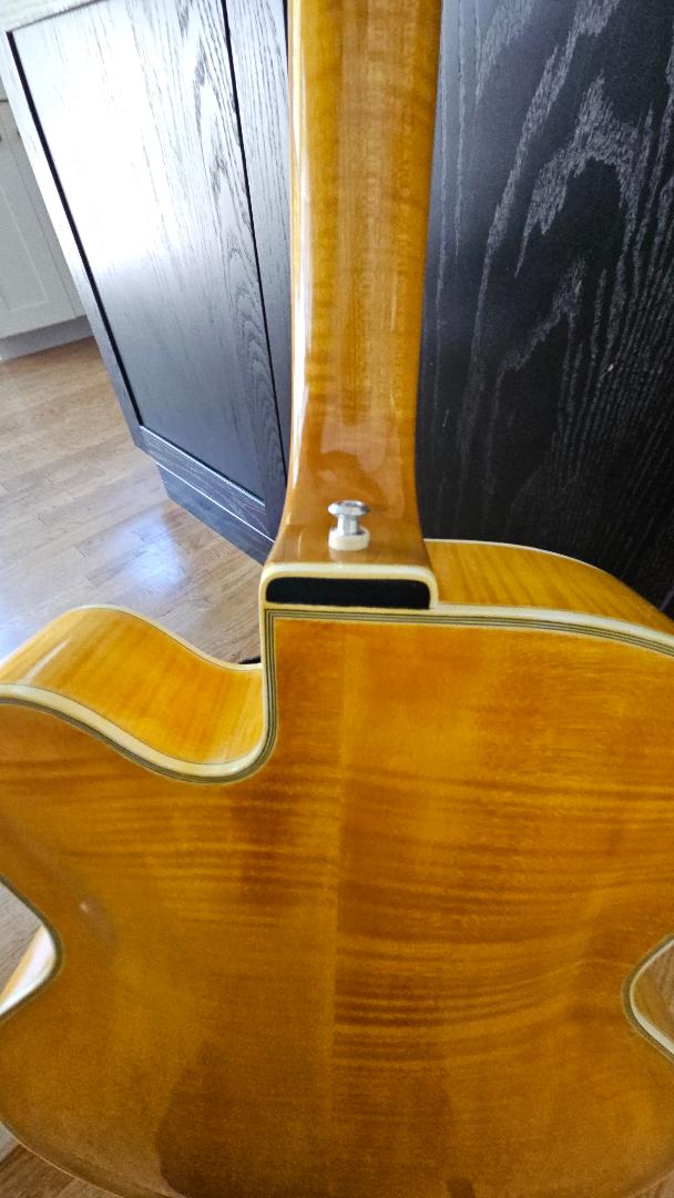 Cushman 17" carved Archtop...PRICE DROP: ,000 to ,300-cushman-back-jpg