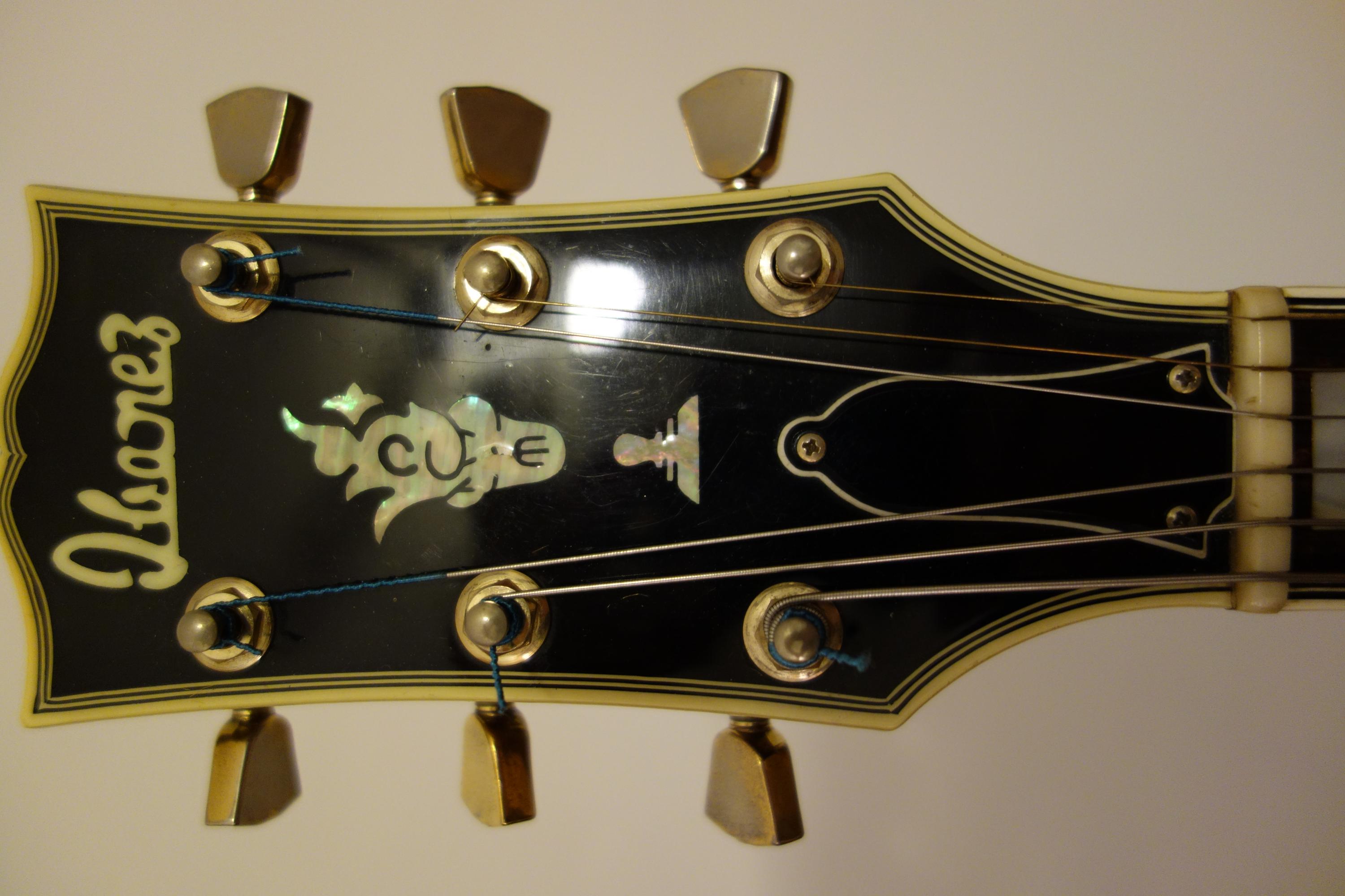 Epiphone Byrdland (open book)-dsc02351-jpg