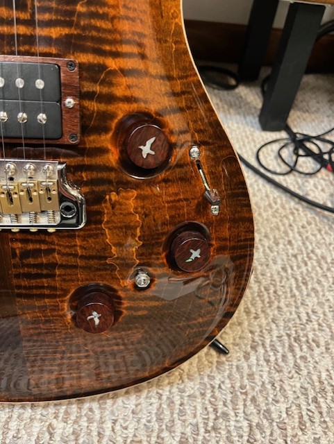PRS Custom 24 Piezo-2a-knobs-basement-jpg