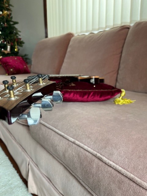 PRS Custom 24 Piezo-5-neck-level-jpg