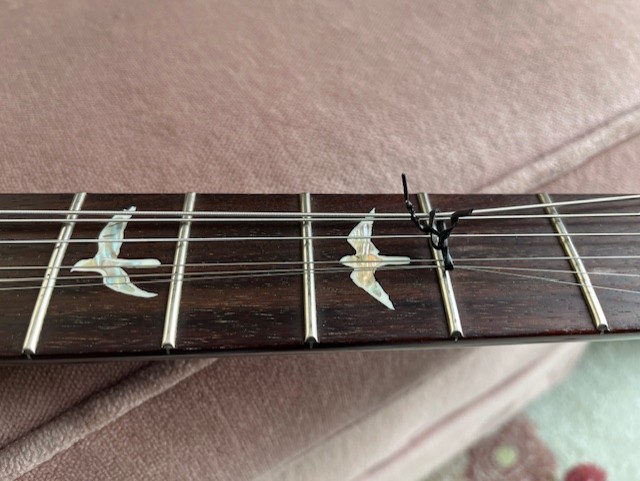 PRS Custom 24 Piezo-6-frets-1-jpg