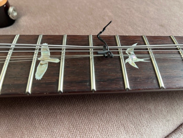 PRS Custom 24 Piezo-7-frets-2-jpg