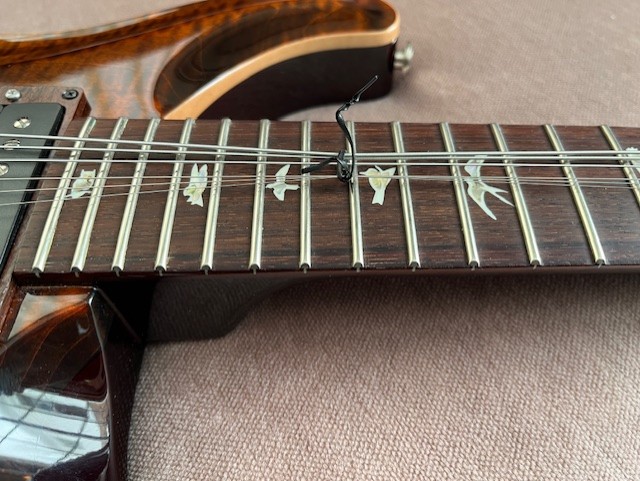 PRS Custom 24 Piezo-8-frets-3-jpg