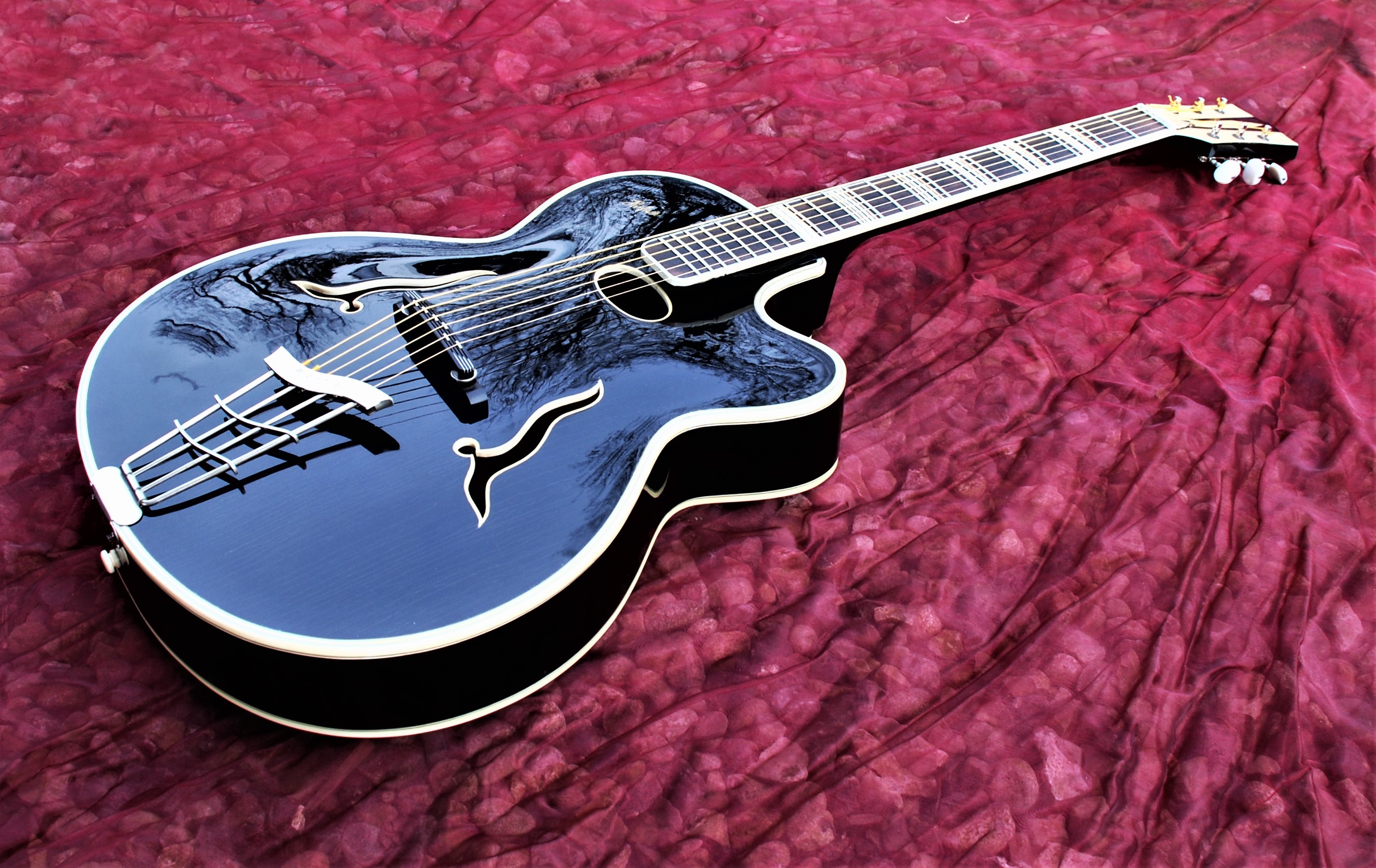 Beautiful Hofner 461s Acoustic Archtop 1960s-dsc_0056-jpg