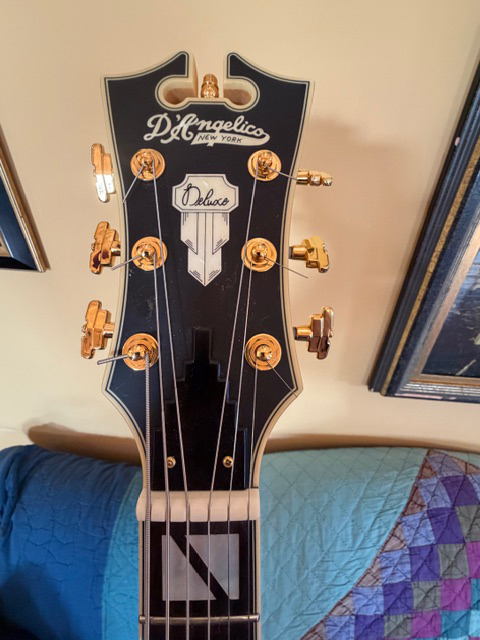 D'Angelico SS Deluxe Baritone (Natural)-img_2924-jpg