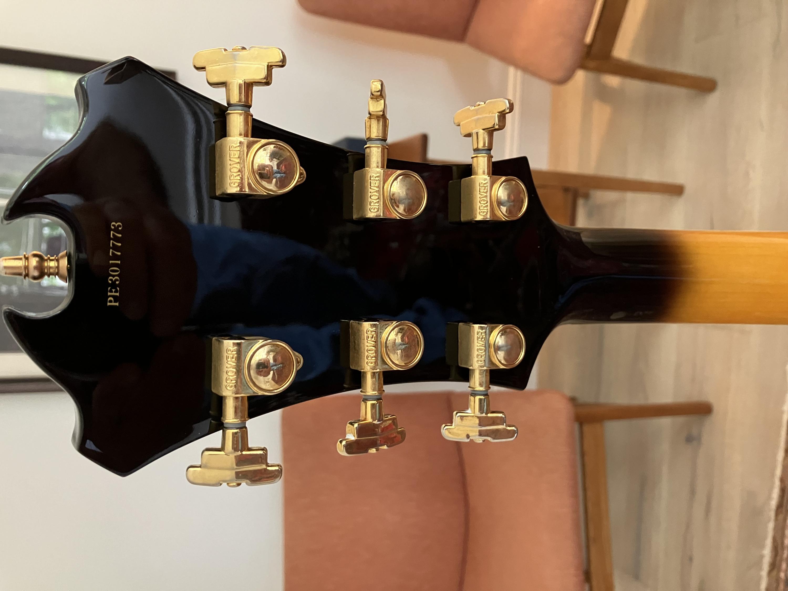 Peerless Monarch Guitar-img_2579-jpg