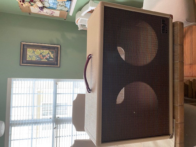 New Mojotone Custom Speaker Cabinet for Twin 10&rdquo; Speakers-mojotone-cab-front-view-jpg