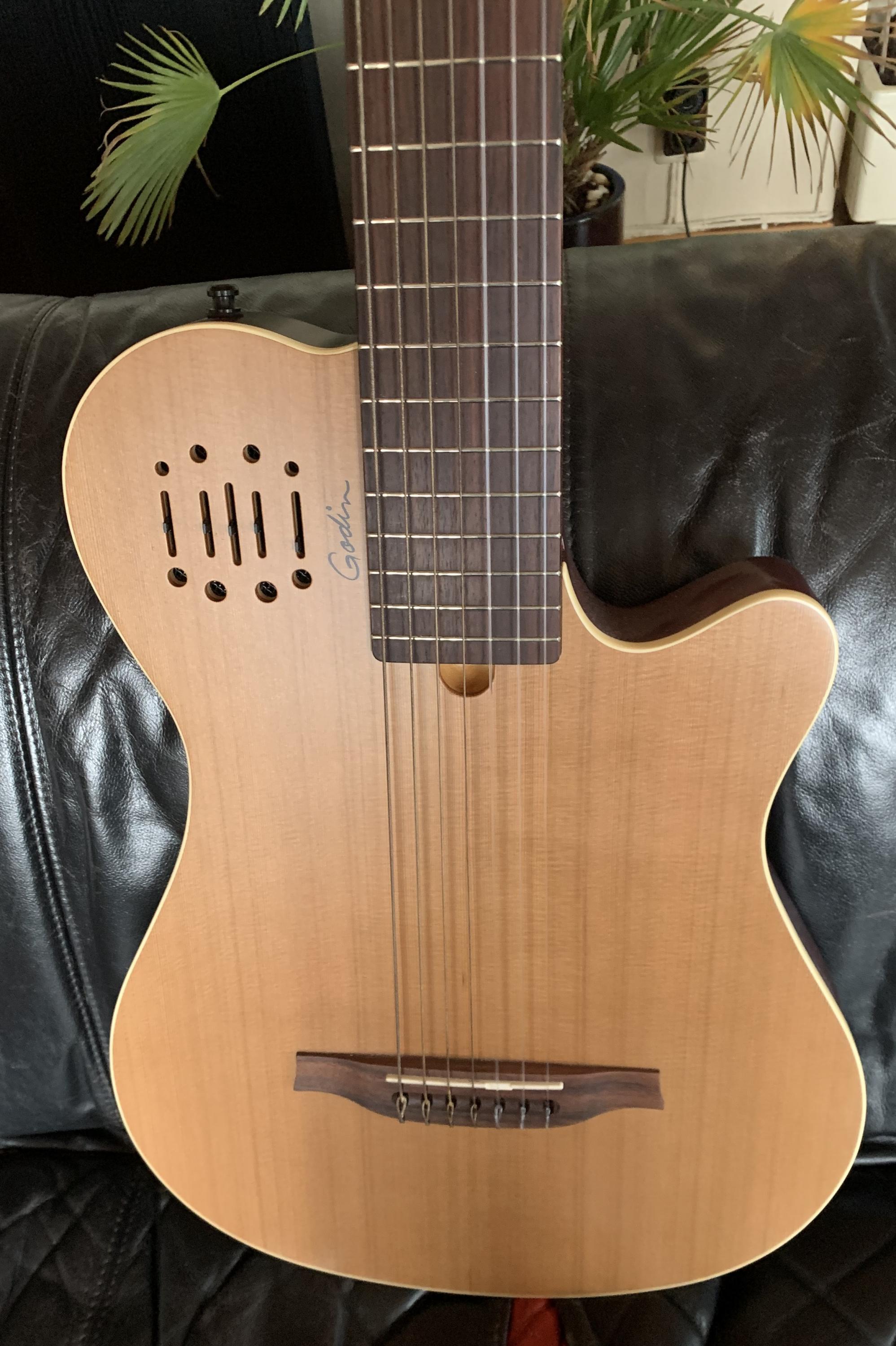 Godin Multiac Grand Encore nylon 7-string guitar for sale-img_1144-002-jpg