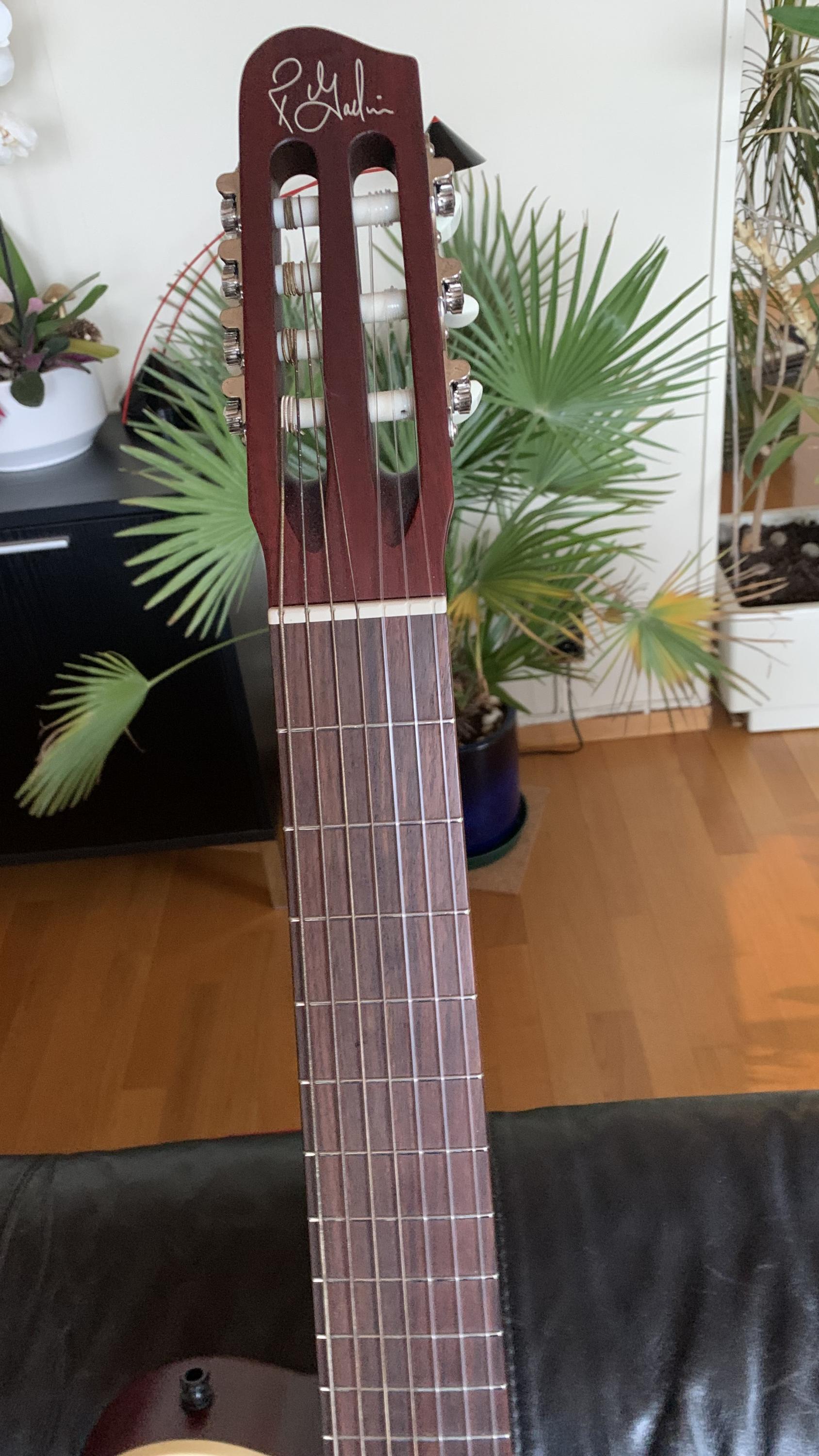 Godin Multiac Grand Encore nylon 7-string guitar for sale-img_1145-002-jpg