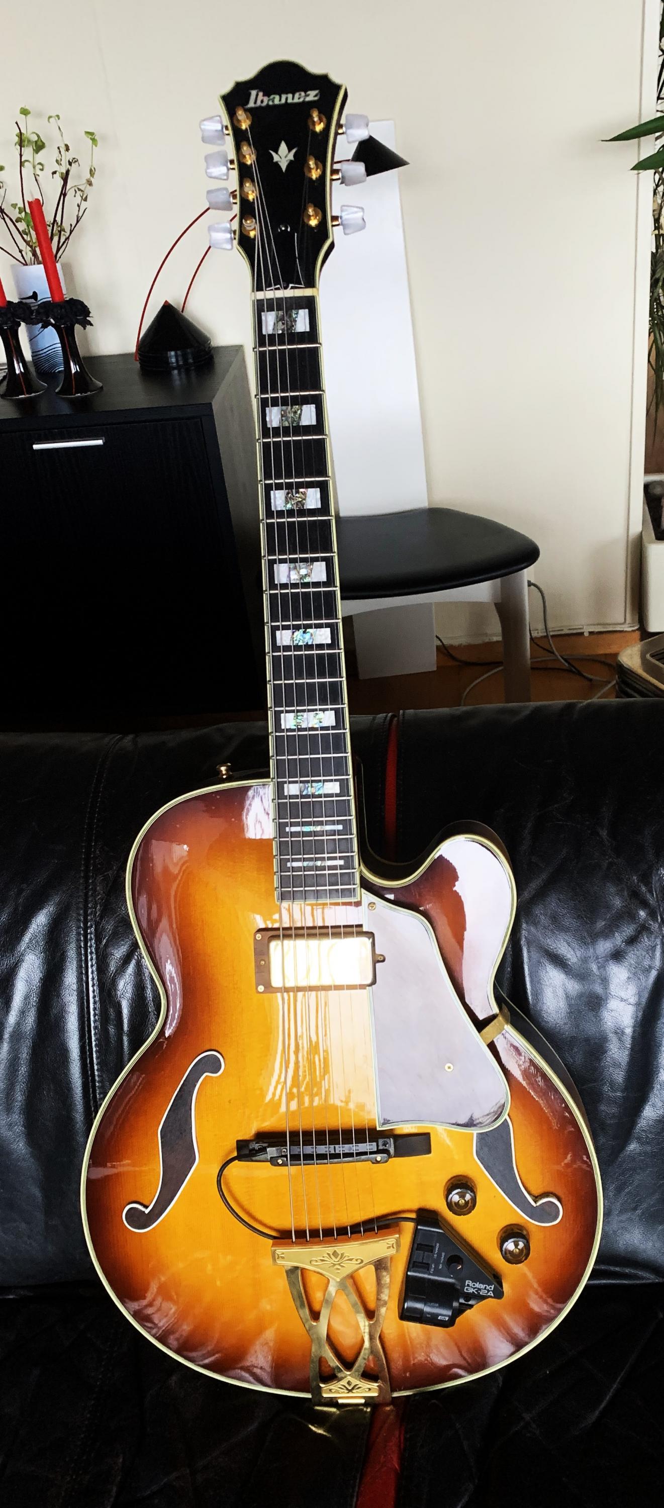Ibanez AF 207 7-string archtop-img_1343-002-jpg