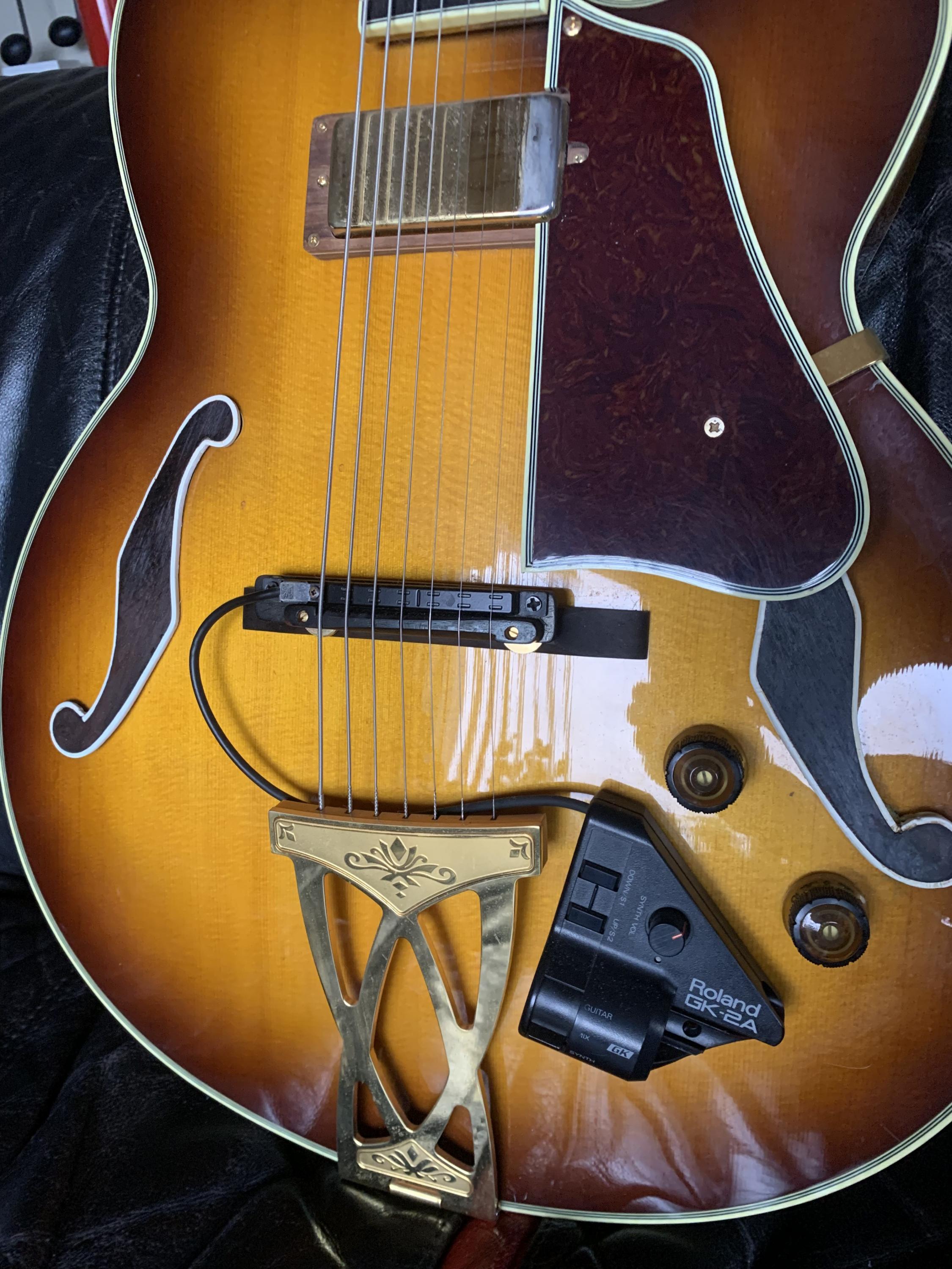 Ibanez AF 207 7-string archtop-img_1344-002-jpg