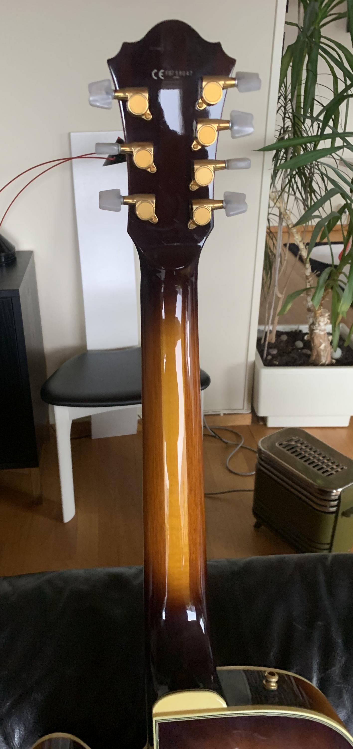 Ibanez AF 207 7-string archtop-img_1347-002-jpg