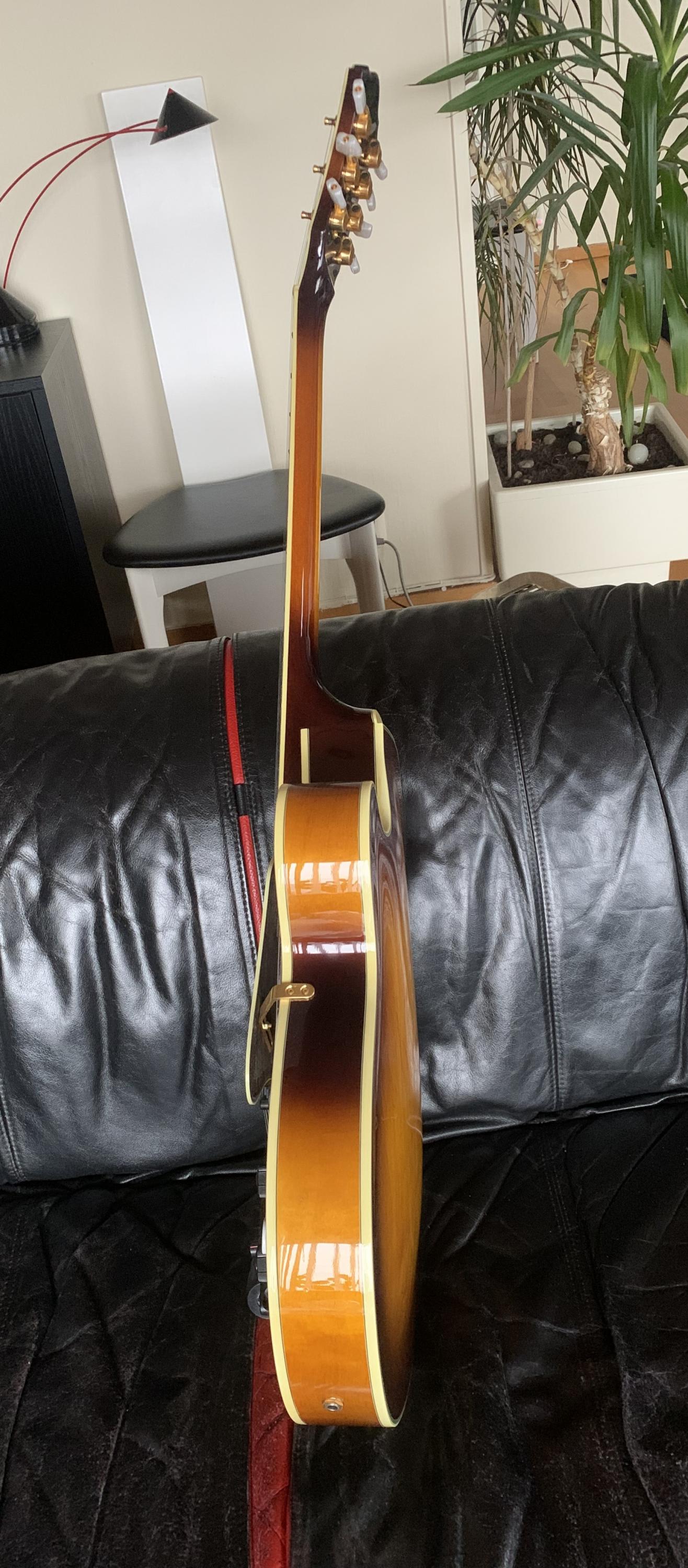 Ibanez AF 207 7-string archtop-img_1348-002-jpg